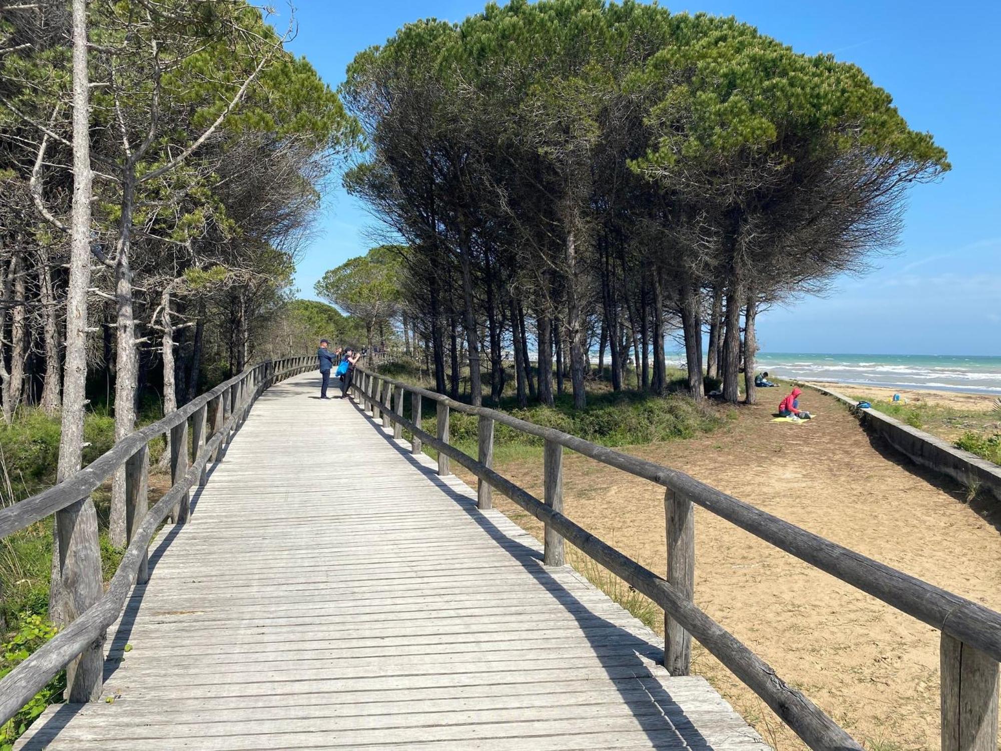 Comfortable Flat In A With Swimming Pool Bibione